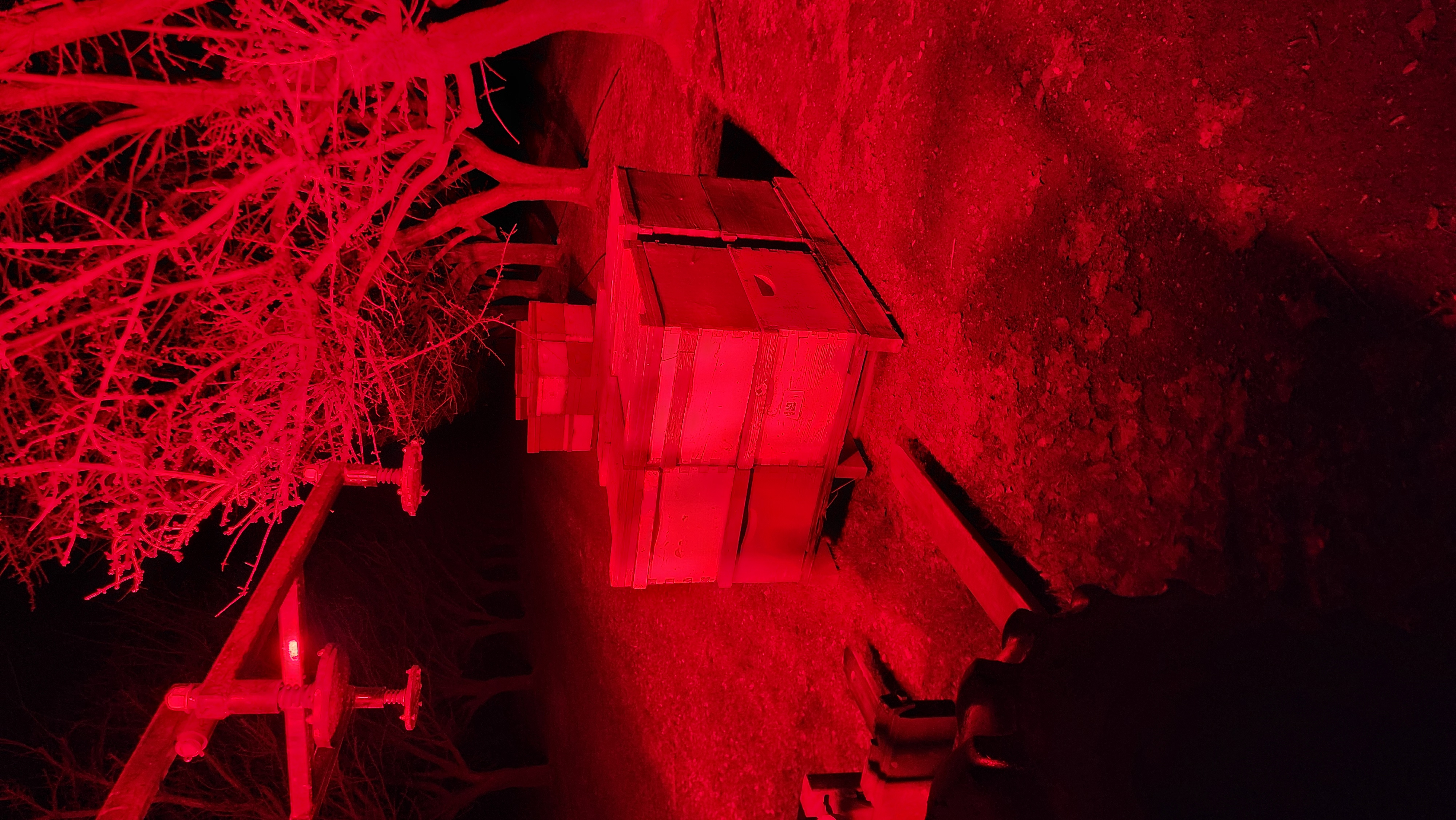 Hive boxes set among almond trees at night, lit deep red by the crew's work lights