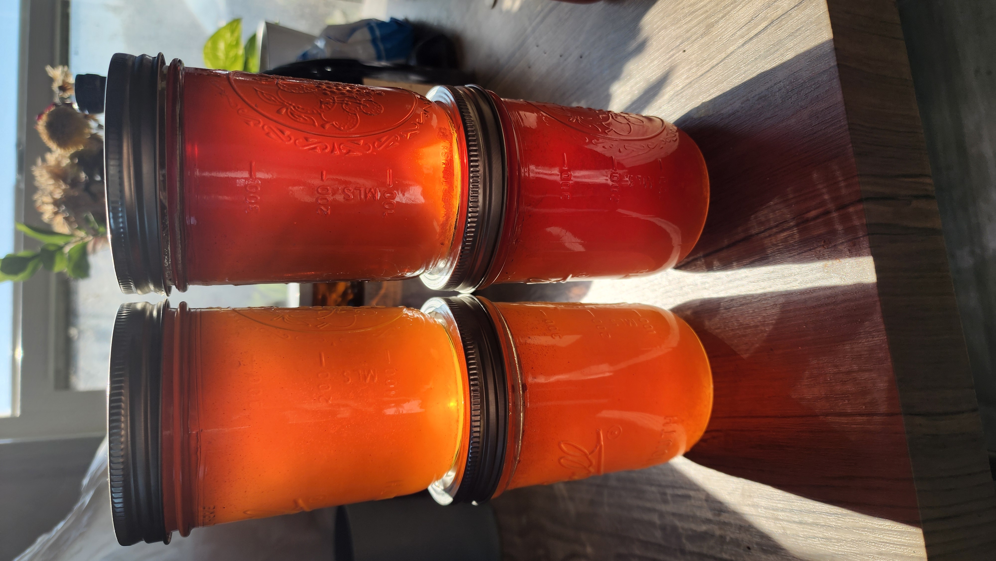 Jars of raw Columbia Basin honey glowing in the sun, deep amber to garnet
